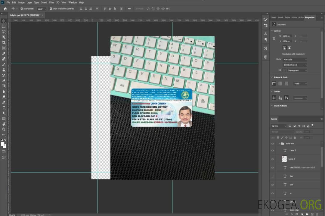 Traduction internationale du permis de conduire photolook FRONT template Traduction internationale du permis de conduire photolook FRONT template